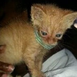 Meet your Posher, Sandra